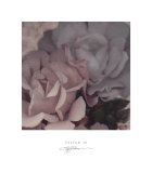 Parfum III Art by S. G. Rose