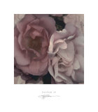 Parfum IV Posters by S. G. Rose