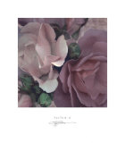Parfum II Posters by S. G. Rose