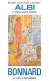 Albi Kunstdrucke von Pierre Bonnard