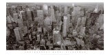 Vistas a la Quinta Avenida Pósters por Henri Silberman