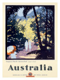 Australia Queensland Rain Forest Giclée-tryk