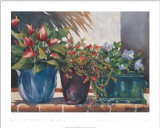 Portulaca in the Sun Posters av Lois Brezinski