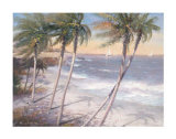 White Sand Beaches Posters by Paul Mathenia