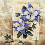 Ancolie en fleur Affiches par Richard Henson