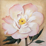 Pale Pink Dog Rose Print Pale Pink Dog Rose Print