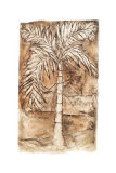Palm Mirage I Kunstdrucke von Vandina 