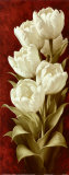 Wunderschöne Tulpen II Kunstdrucke von Igor Levashov