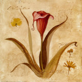 Carol Robinson - Red Calla Lily - Reprodüksiyon