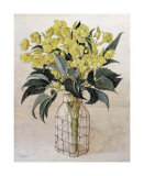 Hellebore in Wire Bottle Poster