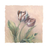 Tulip Bouquet Posters by Paul Mathenia