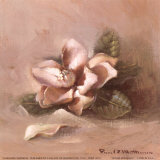Magnolia a la luz del sol Lámina por Paul Mathenia Magnolia a la luz del sol Lámina por Paul Mathenia