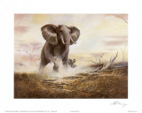 Raging Bull Prints by Ruane Manning