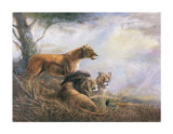 Forbidden Territory Prints by Ruane Manning