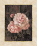 Venetian Roses III Prints by Sylvia Bogani Venetian Roses III Prints by Sylvia Bogani