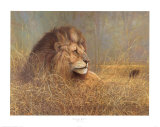 Belleza majestuosa Arte por Ruane Manning