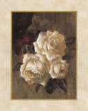 Venetian Roses IV Art by Sylvia Bogani Venetian Roses IV Art by Sylvia Bogani