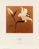 Lily Art by Jan Gordon