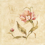 Perfect Peony II Poster by Carol Robinson Perfect Peony II Poster by Carol Robinson