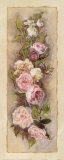Guirnalda de rosas I Pósters por Charlene Winter Olson