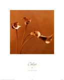 Arums Affiches par Jan Gordon