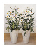 Double Daisies Prints
