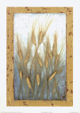 Wheat Grasses Poster by Tina Chaden