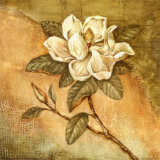 Magnolia Burlap II Arte por Tina Chaden Magnolia Burlap II Arte por Tina Chaden