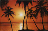 Coucher de soleil dans les Caraïbes Posters