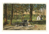 Spangler's Spring, Gettysburg, Pennsylvania ポスター