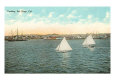 Yachts off San Diego, San Diego, California