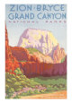 Zion National Park Posters