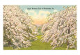 Flower Fields (Vintage Photography) Posters