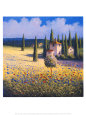 Tuscan Poppies I Art Print by David Short