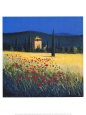 Tuscan Poppies II Art Print by David Short