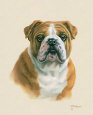 Judy Gibson Posters