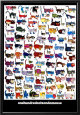 100 gatos e um rato