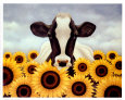 Surrounded by Sunflowers Art Print by Lowell Herrero