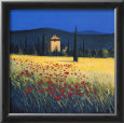 Tuscan Poppies II