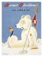 Berner Oberland Snow Ski Gicleetryck