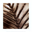 Abstraction Art Print by Canales