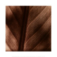 Details Art Print by Canales