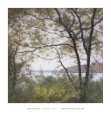 Lakeside Trees I Art Print by John Folchi