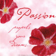 Paula Scaletta Posters