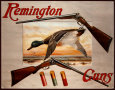 Canards Posters
