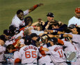 World Series (Red Sox) Posters