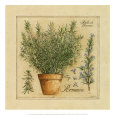 Pottery Still Life (Decorative Art) Posters