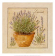 Hierbas provenzales: lavanda Lámina por Pascal Cessou