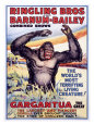 Ringling Brothers: Gargantua the Great