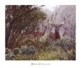 John Banovich Affiches